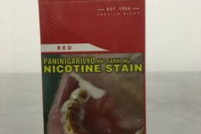 Winston Original Red 10s