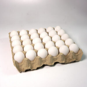 Egg 30s