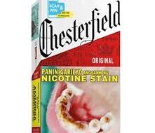 Chesterfield Red Short 20s