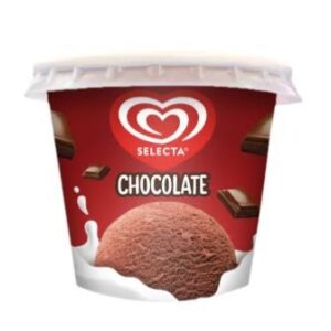 Selecta Chocolate Ice Cream 100ml